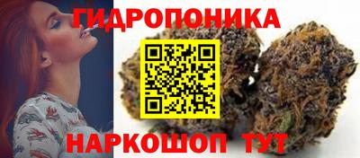спиды Тула