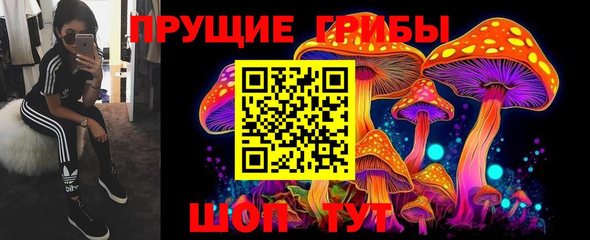 Галлюциногенные грибы MAGIC MUSHROOMS  Вход с VPN  Нижнекамск  Галлюциногенные грибы прущие грибы 